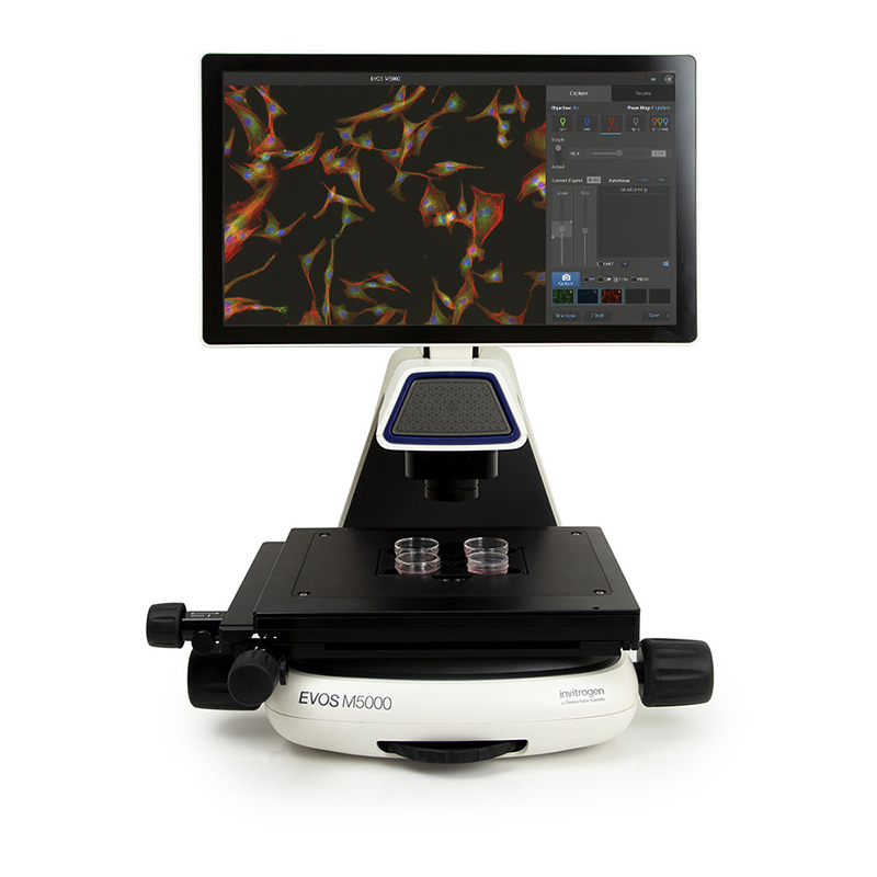 賽默飛  活細(xì)胞熒光成像系統(tǒng)